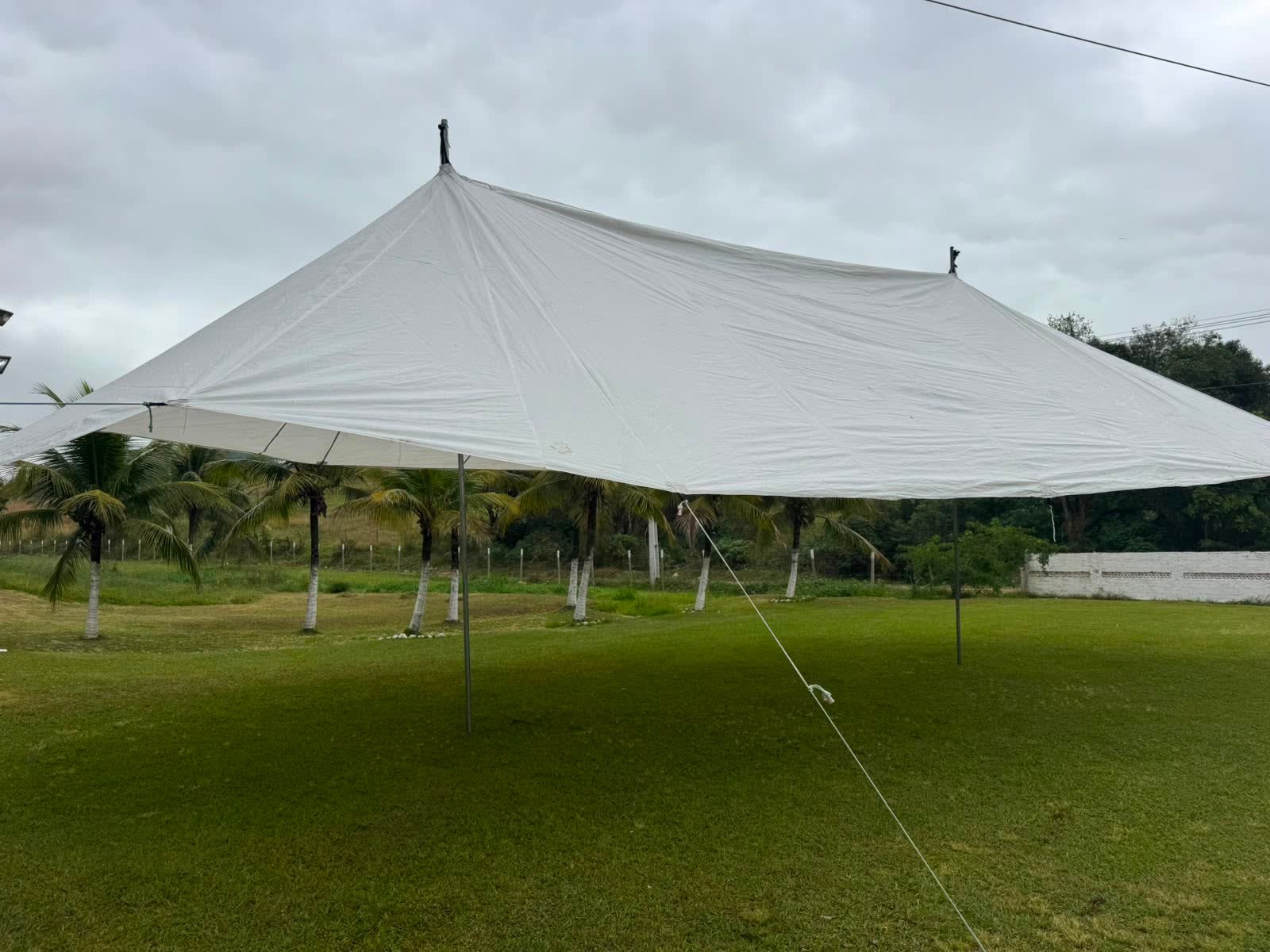 Tenda tensionada branca montada em gramado com coqueiros